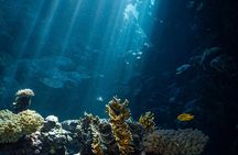 Daily Snorkeling Boat Trip in Jeddah