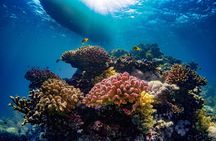 Daily Snorkeling Boat Trip in Jeddah