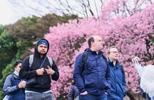 Tokyo Castle & Imperial Palace , Historical Walking Tour