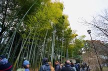 Tokyo Castle & Imperial Palace , Historical Walking Tour