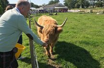 Tonys Tartan Tours Best Day Trip in the Inverness Area
