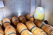 Sip Wine Along the Rhine! Romantic Rhein & Castle Wineries tour