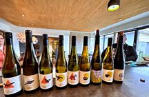 Sip Wine Along the Rhine! Romantic Rhein & Castle Wineries tour