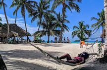 Saona Island Tour from Santo Domingo