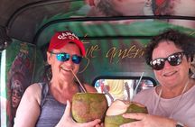 Explore Colombo Heritage and Cultural Temples Tour by Tuk Tuk 