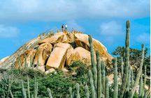 UTV Morning Tour: Discover Aruba's Hidden Treasures 