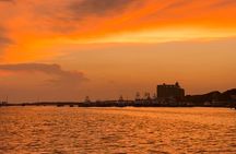 Private Sunset Dolphin Cruise Up to 16 Passengers