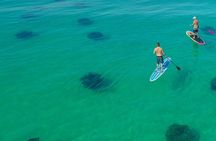 Destin Dolphin and Snorkeling Adventure Speedboat Tour 