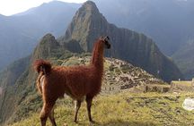 Private Tourist Guide EN Machupicchu (Hot Waters).