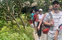Ho Chi Minh Uncovered Cu Chi tunnels and Mekong Delta Tour