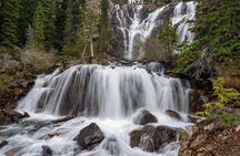 Experience the Columbia Icefield: storytelling Tour from Calgary