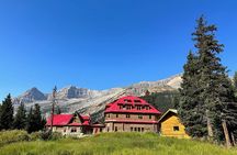 Experience the Columbia Icefield: storytelling Tour from Calgary