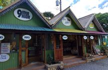 Bob Marley 9 miles Birth Home & Dunn’s River Falls Experience