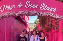 Half Day Puerto Plata City Tour and Monkey Home Visit