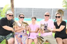 Half Day Puerto Plata City Tour and Monkey Home Visit