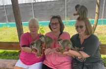 Half Day Puerto Plata City Tour and Monkey Home Visit