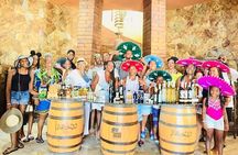 Cabo San Lucas City Tour & Boat Ride to the Arch