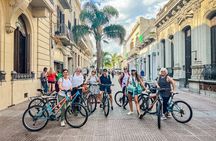 Montevideo Small Group Bike Tour with picnic