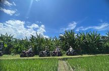 Bali ATV Ride On the Beach, Rice Field and Village Tour 2 Hour