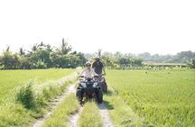 Bali ATV Ride On the Beach, Rice Field and Village Tour 2 Hour