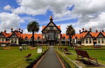 2 Day Tour Auckland to Hobbiton, Waitomo, Rotorua and Taupo