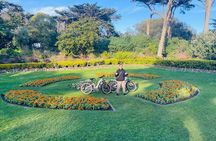 Summer of Love San Francisco Guided eBike Tour Golden Gate Park
