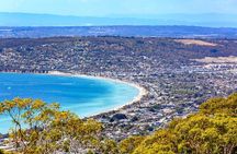 Melbourne Shore Excursion, Wine Region, Wildlife, Shared Tour