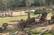 Hobart Signature Shore Excursion Small Group