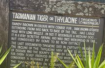 Hobart Signature Shore Excursion Small Group