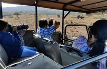 Safari Drive Hluhluwe Imfolozi Park South Africa