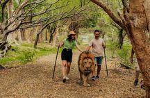 Casela Nature Park and Flic en Flac Beach Private Tour 