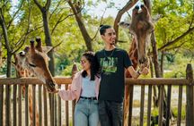 Casela Nature Park and Flic en Flac Beach Private Tour 