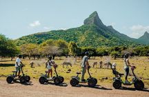 Casela Nature Park and Flic en Flac Beach Private Tour 