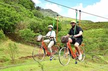 Valles Des Couleur Nature Park and Gris Gris Beach Private Tour