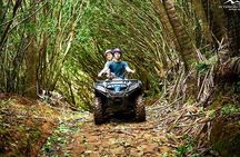 Valles Des Couleur Nature Park and Gris Gris Beach Private Tour