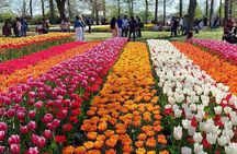 Amsterdam: Private 3-Hour Hop-On Hop-Off Tour