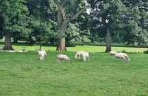 From London: Shakespeare's Stratford & Cotswolds Small-Group Tour