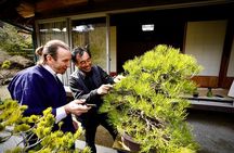 Hiroshima：Bonsai trimming tour (with photo data)