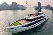 Taliya Day Cruise: Top Luxury Tour in Halong Bay & Lan Ha Bay
