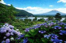 Tokyo: Mt Fuji 3 Lakes Day Trip Secret Spots and Seasonal View