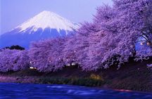Tokyo: Mt Fuji 3 Lakes Day Trip Secret Spots and Seasonal View
