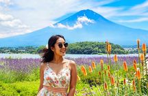 Tokyo: Mt Fuji 3 Lakes Day Trip Secret Spots and Seasonal View