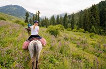 Small Group Horseback Riding in Chon Kemin National Park