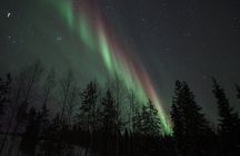 Northern Lights Rovaniemi Unlimited Mileage