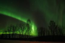 Northern Lights Rovaniemi – The Real Unlimited Adventure