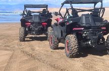 Beach buggy tour in Agadir pickup/drop-off included