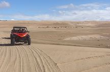 Agadir : Buggy tour Desert and beach pickup/drop-off included