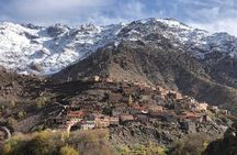 Marrakesh: Ourika Waterfalls, Atlas Mountains, Guide + Lunch