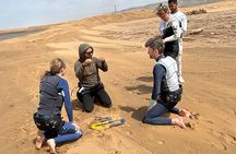 Kitesurfing lessons in Essaouira in small groups – Fun and safety