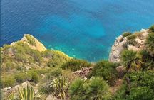 Mallorca tour in luxury van in small group min.3/max.6 People